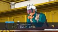 Phoenix Wright: Ace Attorney Trilogy download