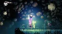 crack Hollow Knight ściągnij grę