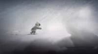 Never Alone download