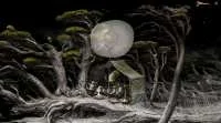 Samorost 3 download