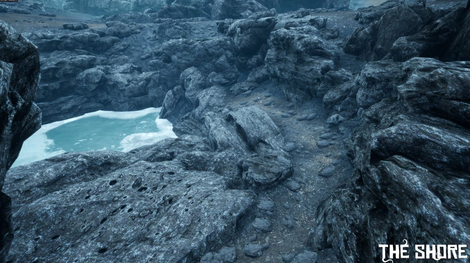 torrent pobierz za darmo