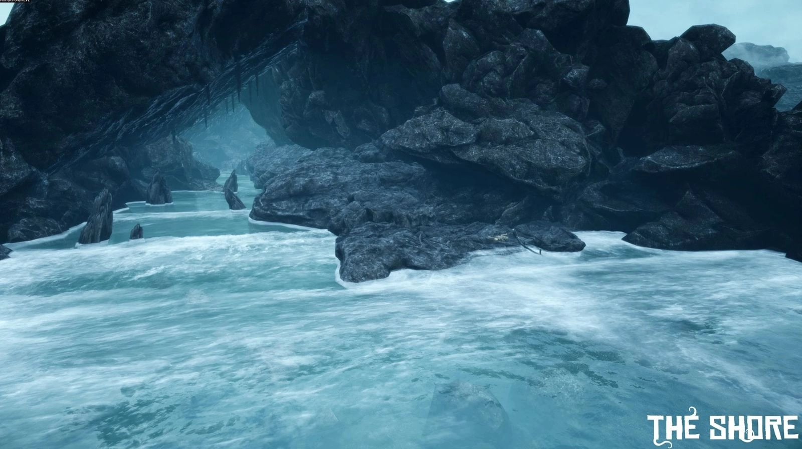 pełna wersja do pobrania