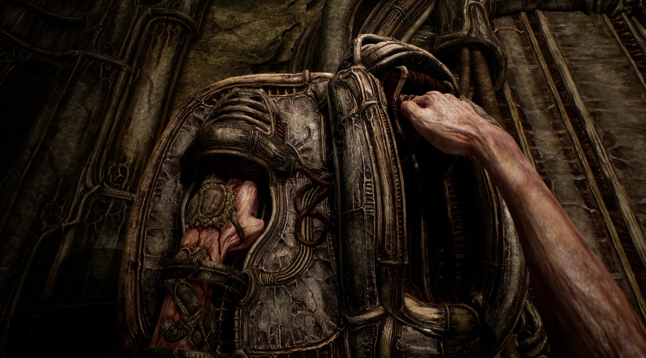 torrent pobierz za darmo