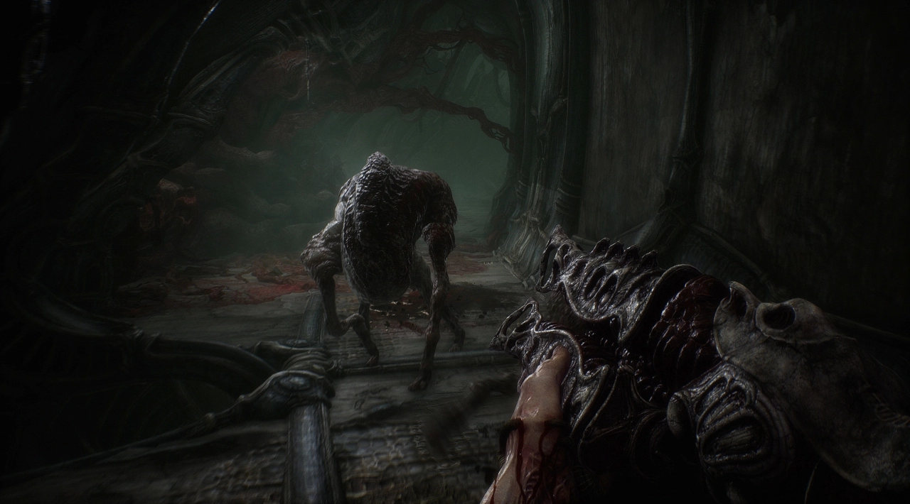 pełna wersja do pobrania