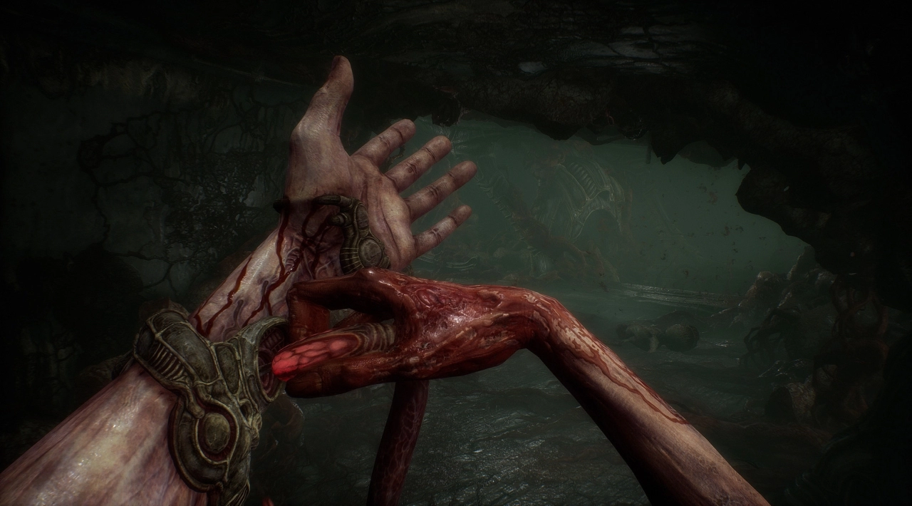 elamigos Scorn download