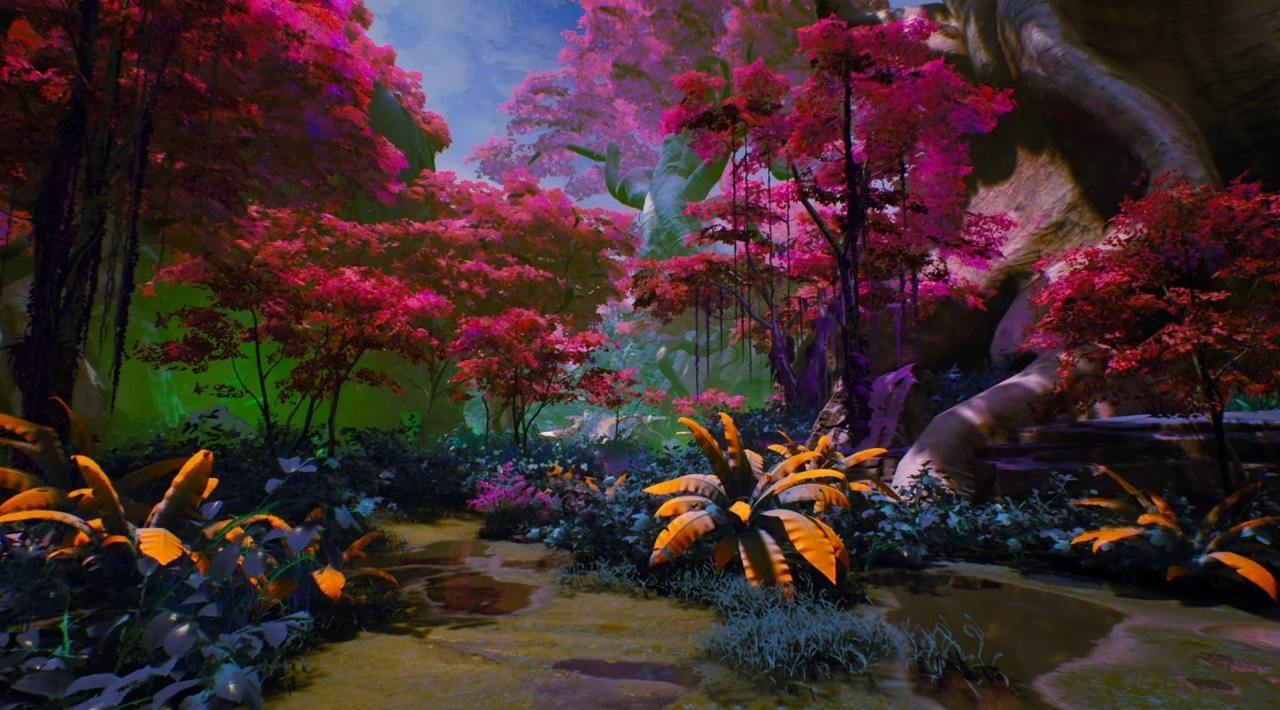 pełna wersja do pobrania