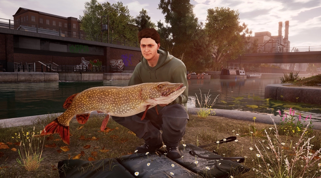 pełna wersja do pobrania