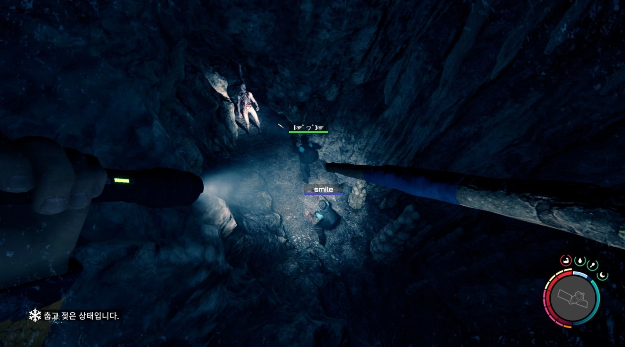 torrent pobierz za darmo