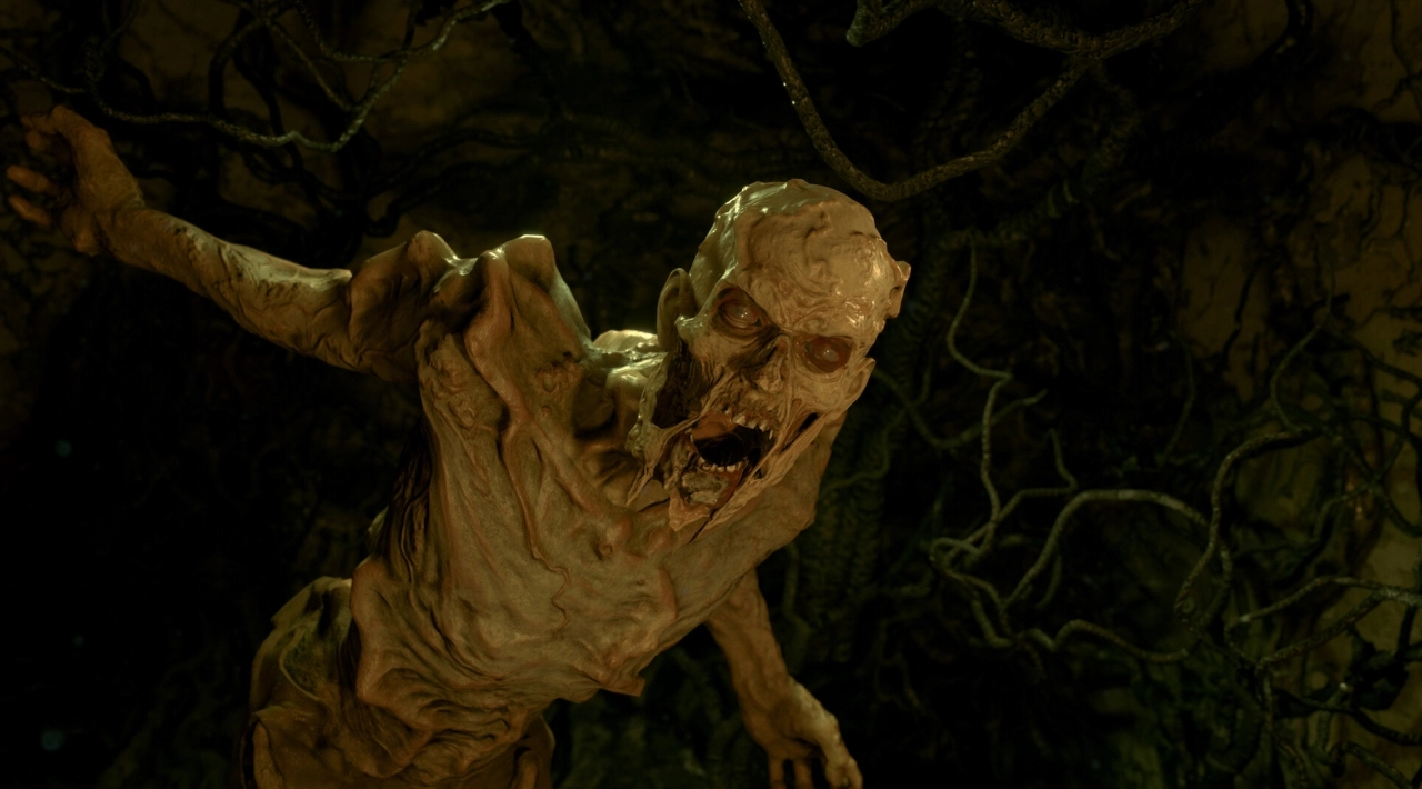 torrent pobierz za darmo