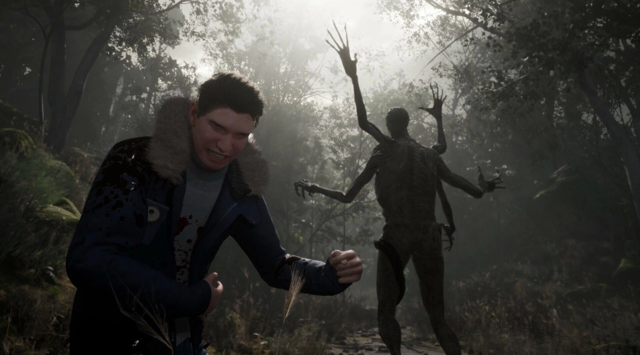 crack Stray Souls ściągnij grę