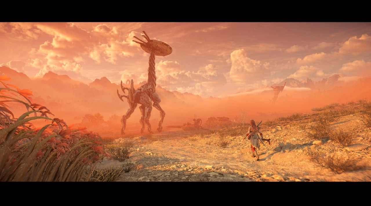 pełna wersja do pobrania