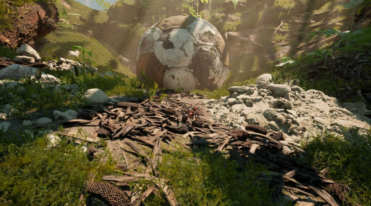 torrent pobierz za darmo