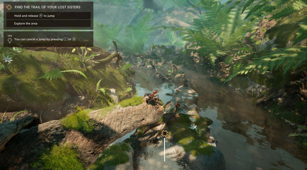 pełna wersja do pobrania