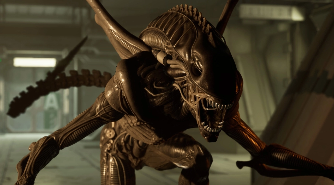 torrent pobierz za darmo